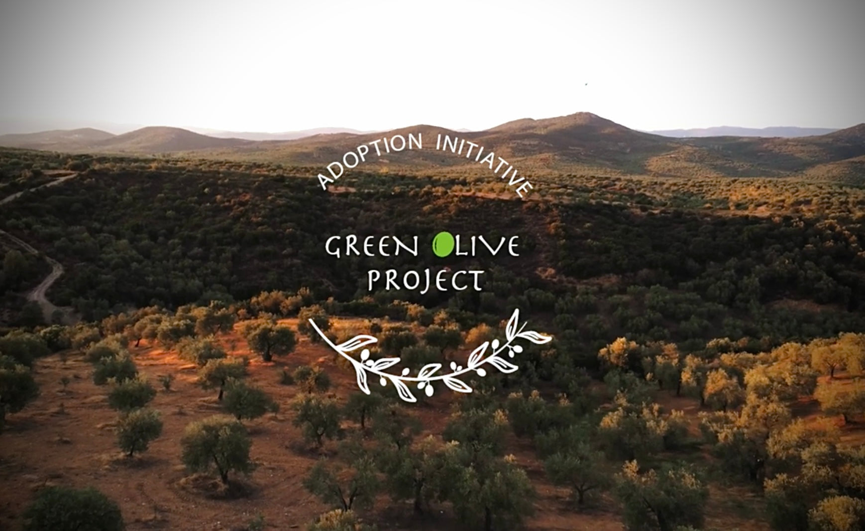 Load video: To celebrate My Greek Orchard&#39;s FIFTH YEAR in business we are giving back 5% of our TOTAL ANNUAL SALES (online, retail, &amp; wholesale) to the Green Olive Project, a fund created by the owners to aid families in the adoption process. For more information or to find out how you can help, please watch the video below!As always, thank you for your continued support &amp; loyalty. We wouldn&#39;t be able to do any of this without your help!